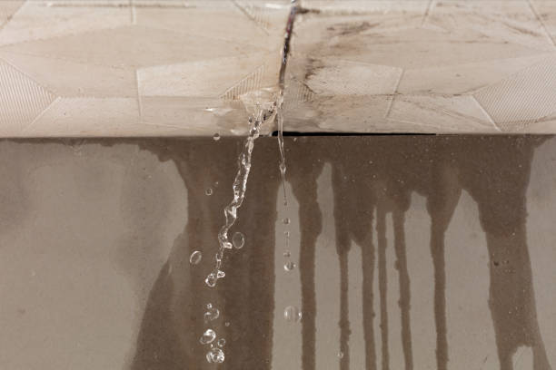 Professional Structural Drying technician working in Gause, TX